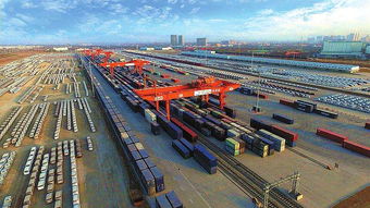 11 号公路国际货物运输代理 跨境物流的关键桥梁